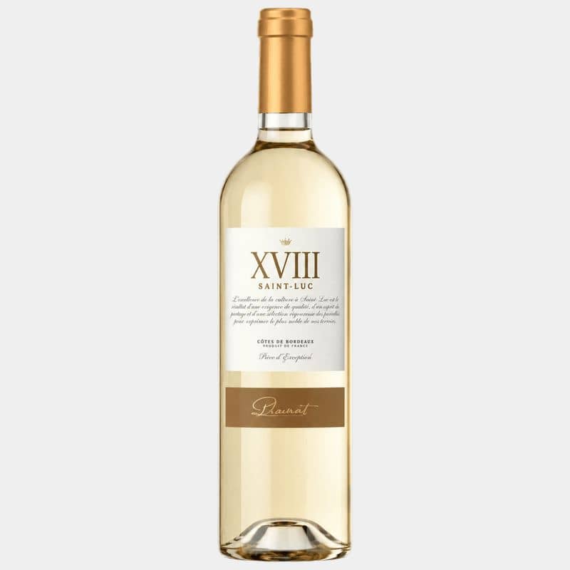 XVIII Saint Luc