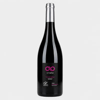 Thumbnail for A l Infini 2023 Domaine Delobel Touraine Bio Rouge Gamay - Laboxavin
